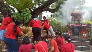 Warga Banjar Dharma Semadi Kuta, Lakukan Persiapan Sambut Imlek 2547