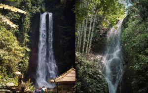 Surganya Bali Utara, Air Terjun Gitgit Sempat Menjadi Tempat Mandi Favorit Tentara Belanda