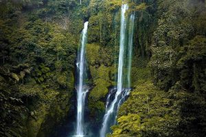 Air Terjun Sekumpul, Panorama Indah Kumpulan 7 Aliran Air di Bali Utara 