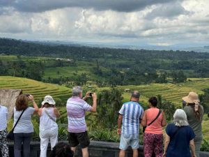 Mengenal Jati Luwih: Keindahan Sawah Terasering di Bali