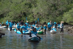 Fun Walk dan Bersih-Bersih Hutan Mangrove, Meriahkan Perayaan HUT ke-25 ASTINDO