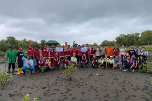 Langkah Nyata Adaptasi Perubahan Iklim dan Pelestarian Lingkungan, Kolaborasi PMI tanam Mangrove