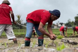 The Nusa Dua Dukung Pertanian Organik dan Upaya Keberlanjutan di Desa Kedisan