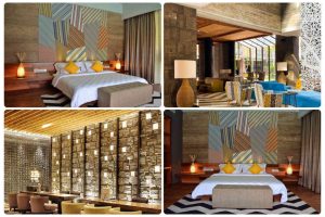 Lindungi Satwa Liar, TS Suites Seminyak Rayakan Satu Tahun Kerja Sama dengan JAAN Indonesia