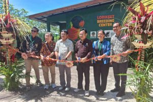 Kedis Mewali ke Bali: Taman Safari Bali Resmikan Lorikeet Breeding Center Perkici Dada Merah