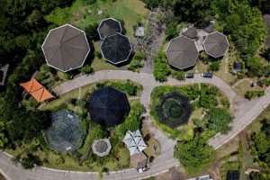 Magic Garden Berulang Tahun: Sebuah Kelas Belajar di Nuanu dengan Delapan Pengalaman yang Berbeda