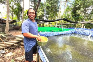 KUR BRI Dukung Pengembangan UMKM Produktif, Pembibitan Lele di Bali Tingkatkan Kapasitas Produksi